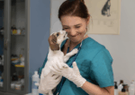 Curso de cardiología para animalesy tratamientos
